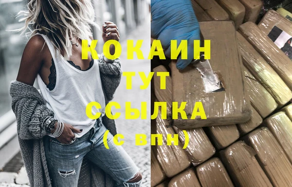 соль ск Алексин