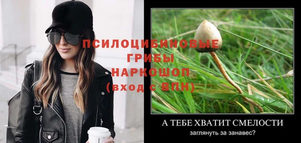 соль ск Алексин